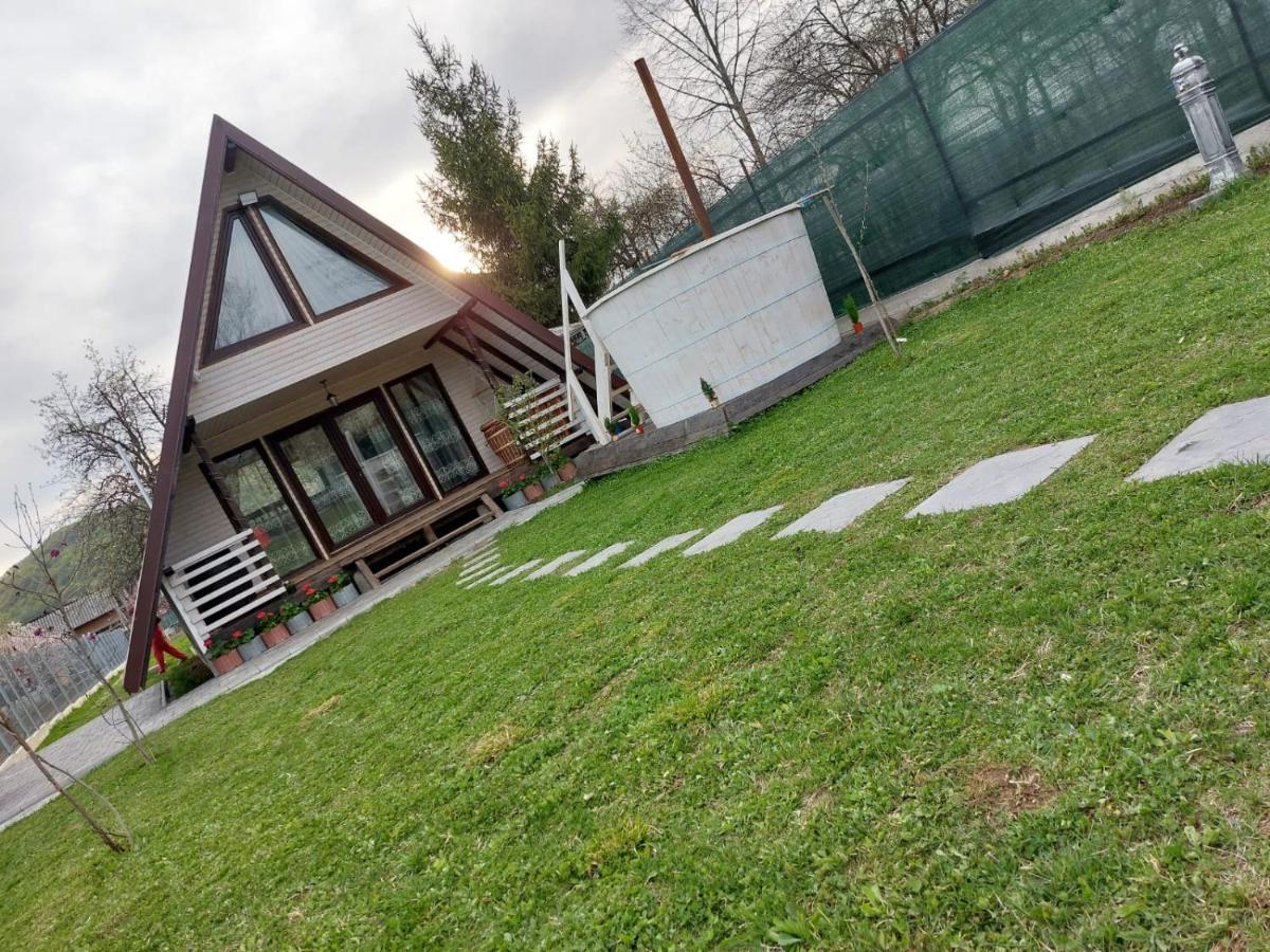 Cabana La Bica Magureni Zewnętrze zdjęcie