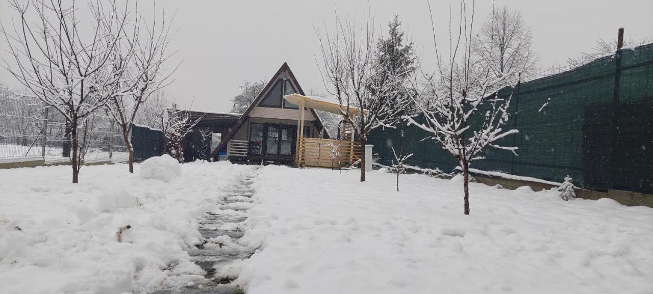 Cabana La Bica Magureni Zewnętrze zdjęcie